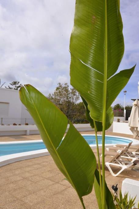 Apartamento Lapa Tias Exterior photo